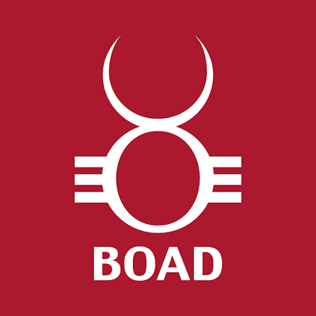 La BOAD recrute un(e) Gestionnaire de Risque de Crédit Senior - Lomé 🇹🇬